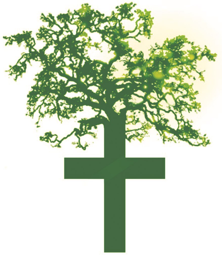 Story: St Mary’s Dunblane Finalists for the Green Church Awards