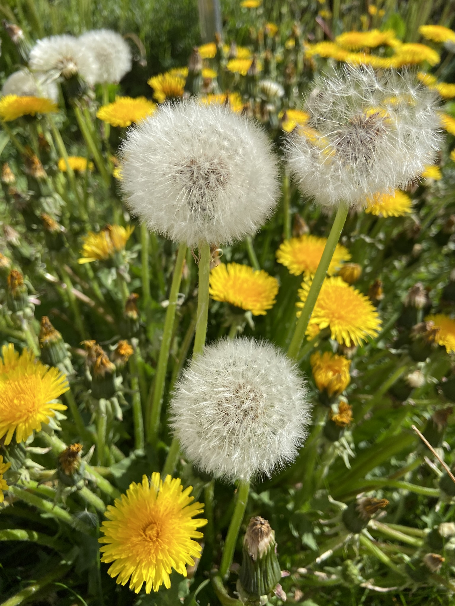 Funding: The Naturesave Trust and Churches Count on Nature