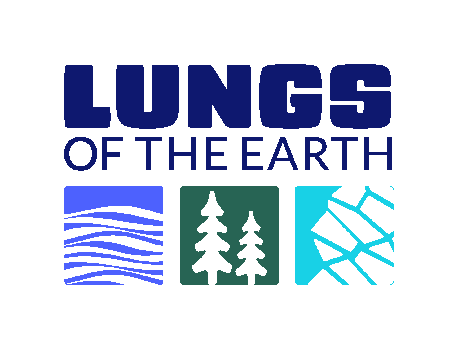Anglican Delegation at COP30 advocates for the lungs of the earth